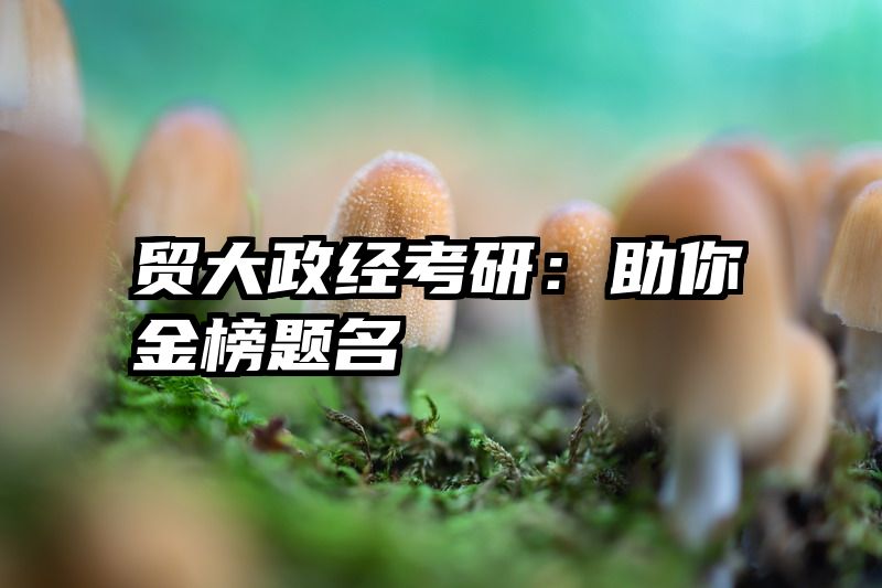 贸大政经考研：助你金榜题名