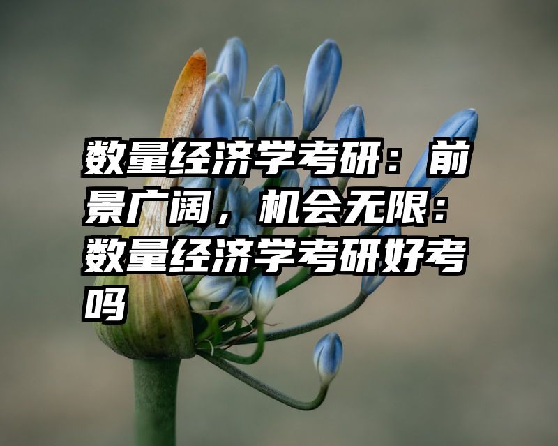 数量经济学考研：前景广阔，机会无限：数量经济学考研好考吗