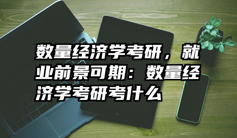 数量经济学考研，就业前景可期：数量经济学考研考什么