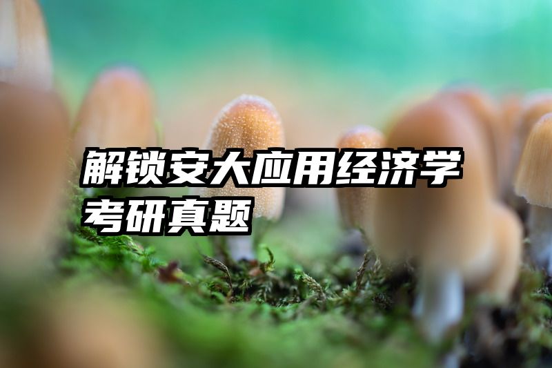 解锁安大应用经济学考研真题