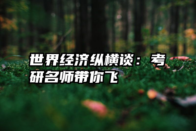 世界经济纵横谈：考研名师带你飞