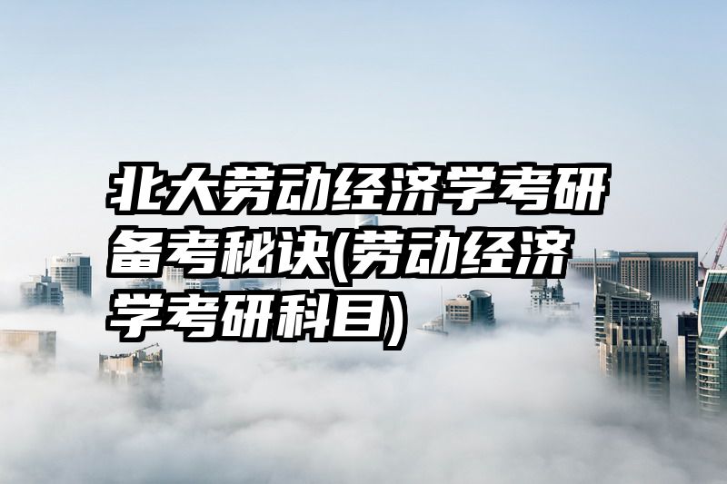 北大劳动经济学考研备考秘诀(劳动经济学考研科目)