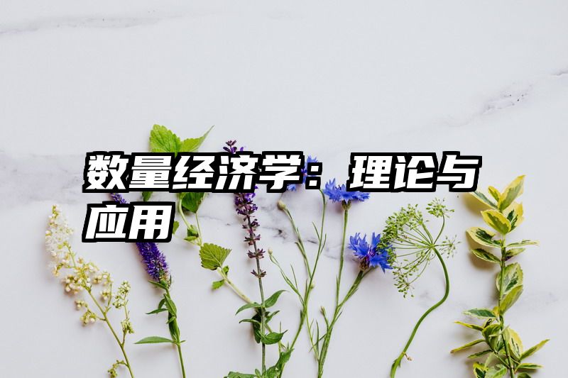 数量经济学：理论与应用