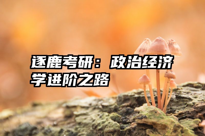 逐鹿考研：政治经济学进阶之路