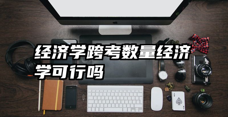 经济学跨考数量经济学可行吗