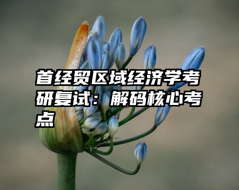 首经贸区域经济学考研复试：解码核心考点