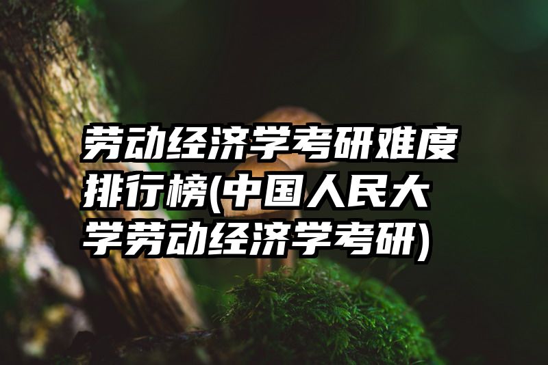 劳动经济学考研难度排行榜(中国人民大学劳动经济学考研)