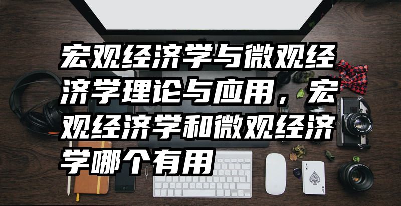 宏观经济学与微观经济学理论与应用，宏观经济学和微观经济学哪个有用