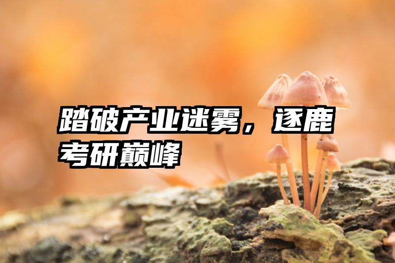 踏破产业迷雾，逐鹿考研巅峰