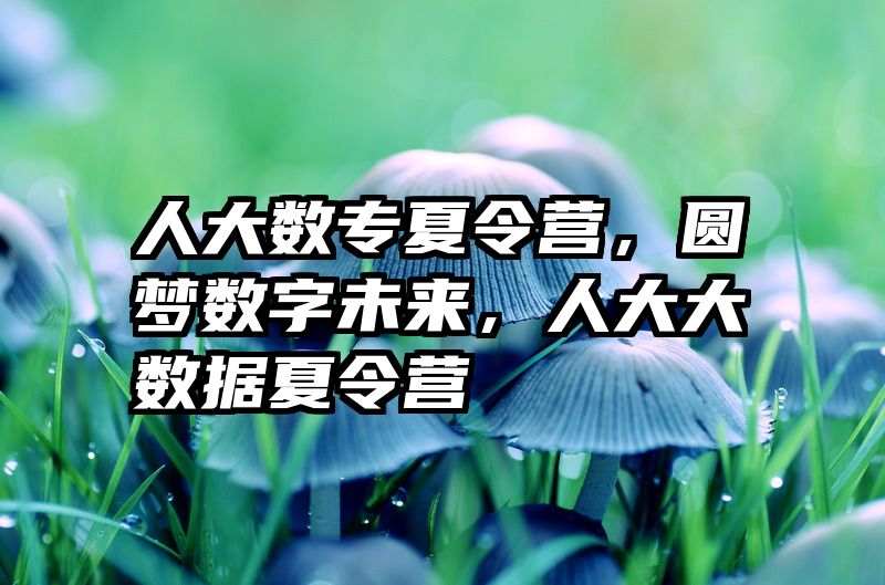 人大数专夏令营，圆梦数字未来，人大大数据夏令营