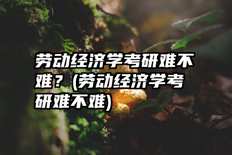 劳动经济学考研难不难？(劳动经济学考研难不难)