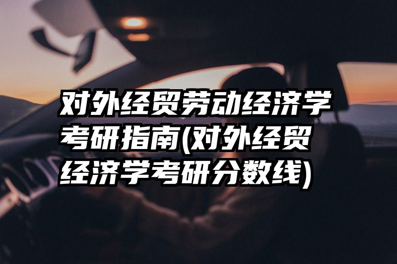 对外经贸劳动经济学考研指南(对外经贸经济学考研分数线)