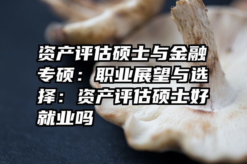 资产评估硕士与金融专硕：职业展望与选择：资产评估硕士好就业吗