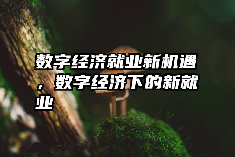 数字经济就业新机遇，数字经济下的新就业