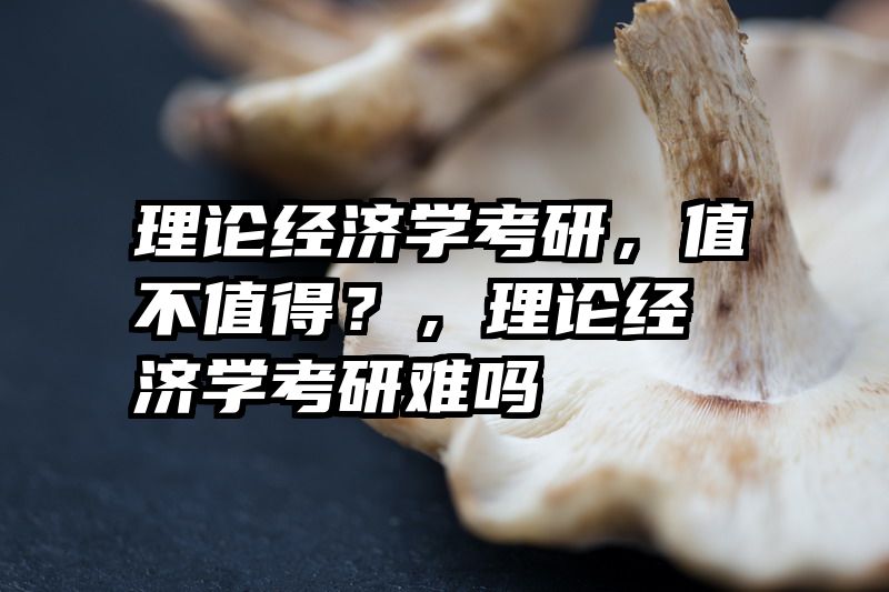 理论经济学考研，值不值得？，理论经济学考研难吗