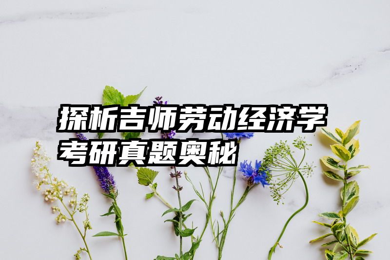 探析吉师劳动经济学考研真题奥秘