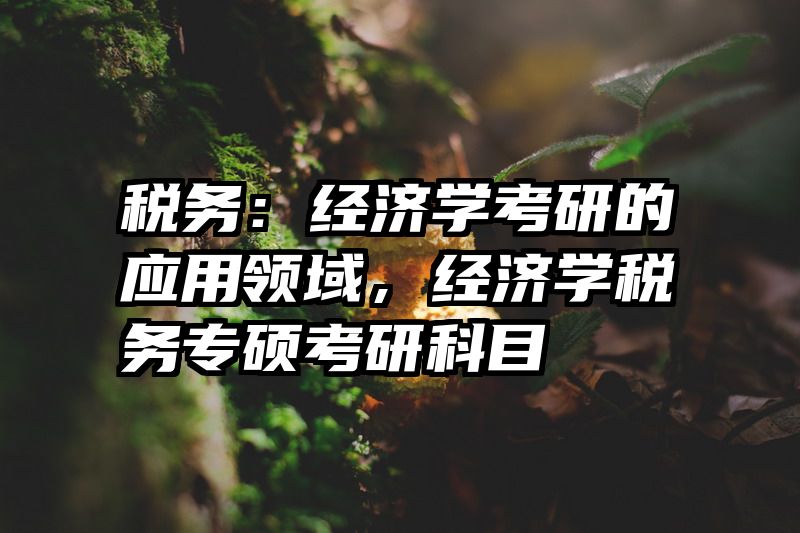 税务：经济学考研的应用领域，经济学税务专硕考研科目