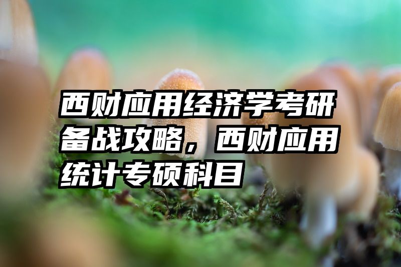 西财应用经济学考研备战攻略，西财应用统计专硕科目