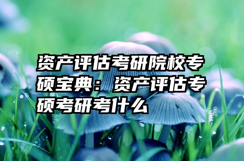 资产评估考研院校专硕宝典：资产评估专硕考研考什么