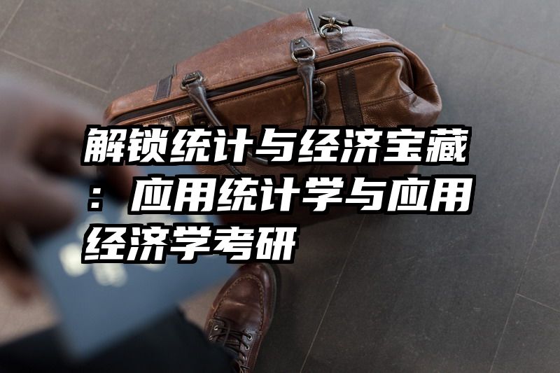 解锁统计与经济宝藏：应用统计学与应用经济学考研