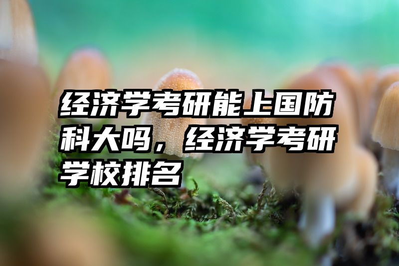 经济学考研能上国防科大吗，经济学考研学校排名