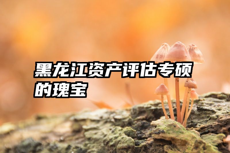 黑龙江资产评估专硕的瑰宝