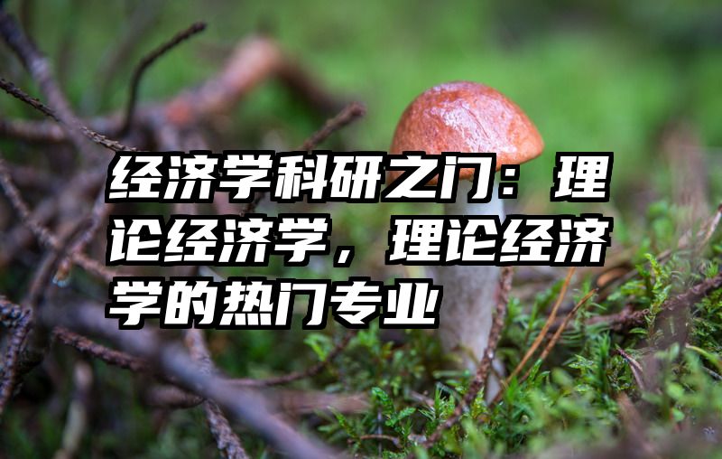 经济学科研之门：理论经济学，理论经济学的热门专业