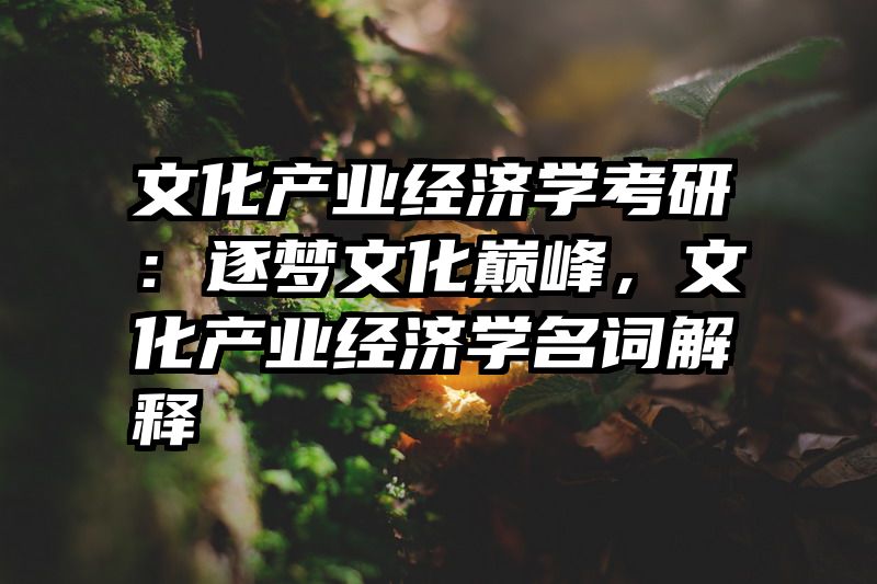 文化产业经济学考研：逐梦文化巅峰，文化产业经济学名词解释