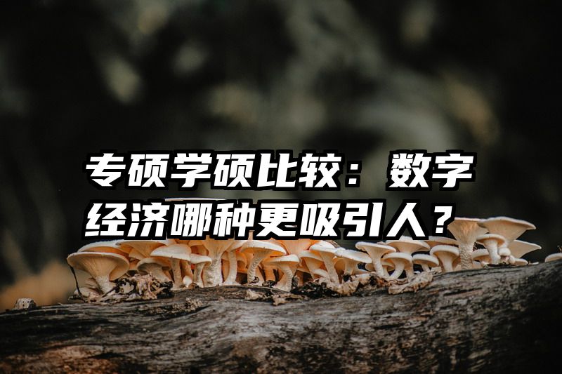 专硕学硕比较：数字经济哪种更吸引人？