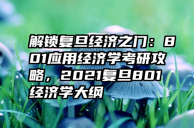 解锁复旦经济之门：801应用经济学考研攻略，2021复旦801经济学大纲