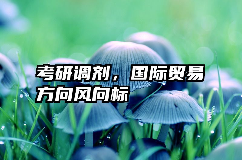 考研调剂，国际贸易方向风向标