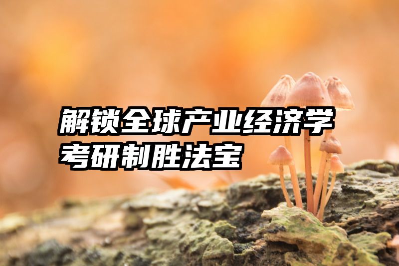 解锁全球产业经济学考研制胜法宝