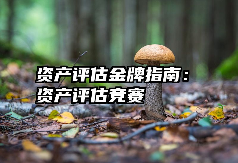 资产评估金牌指南：资产评估竞赛