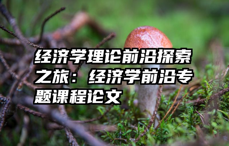 经济学理论前沿探索之旅：经济学前沿专题课程论文