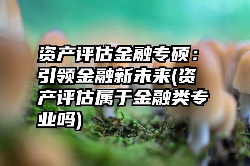 资产评估金融专硕：引领金融新未来(资产评估属于金融类专业吗)