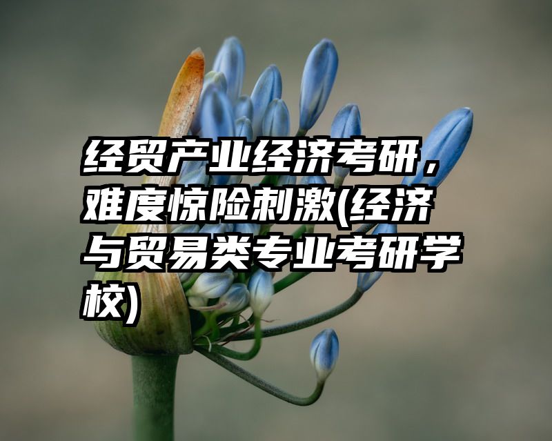 经贸产业经济考研，难度惊险刺激(经济与贸易类专业考研学校)