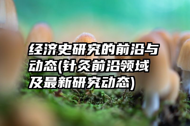 经济史研究的前沿与动态(针灸前沿领域及最新研究动态)