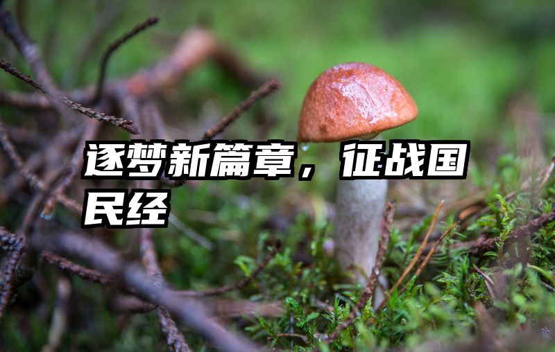 逐梦新篇章，征战国民经