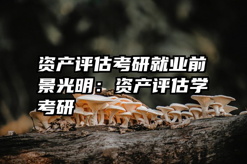 资产评估考研就业前景光明：资产评估学考研