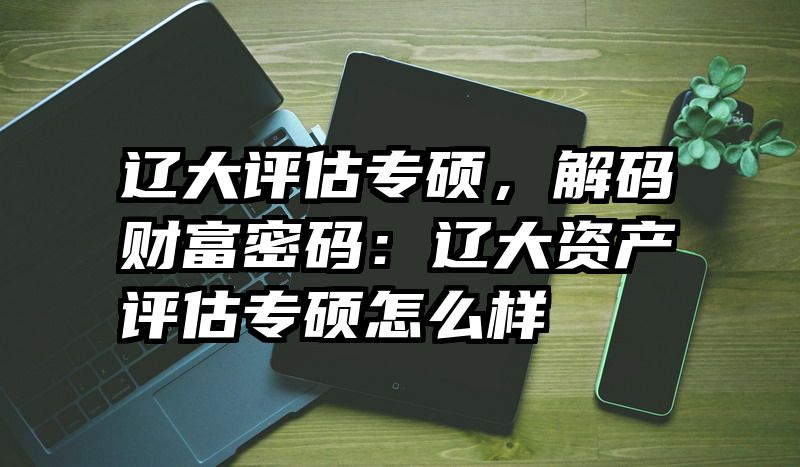 辽大评估专硕，解码财富密码：辽大资产评估专硕怎么样