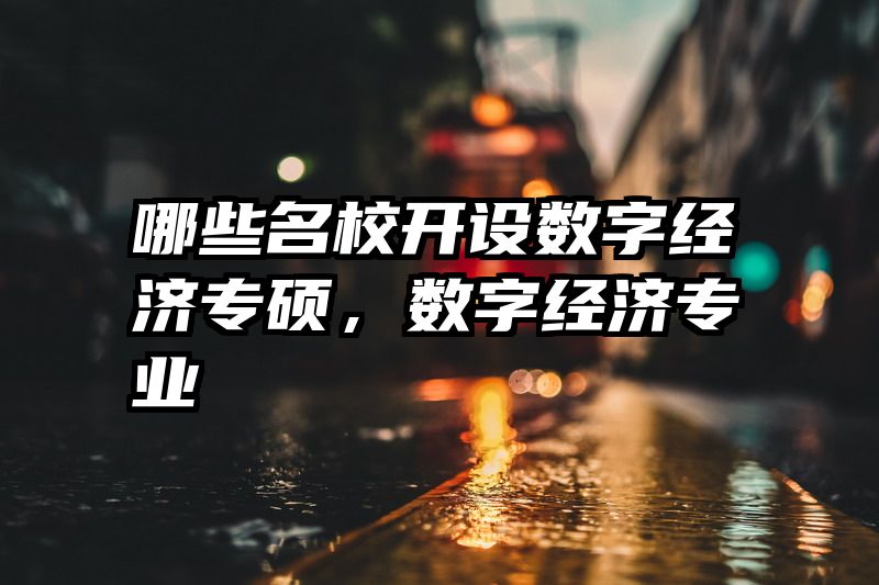 哪些名校开设数字经济专硕，数字经济专业