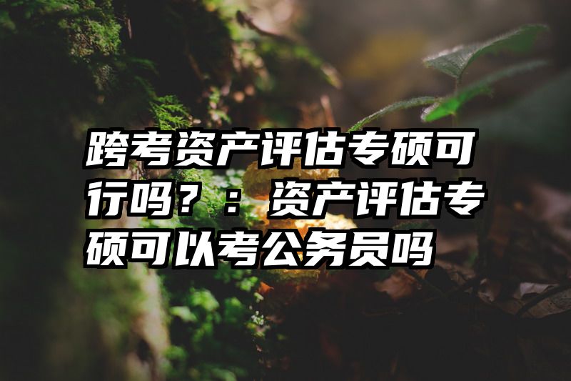 跨考资产评估专硕可行吗？：资产评估专硕可以考公务员吗