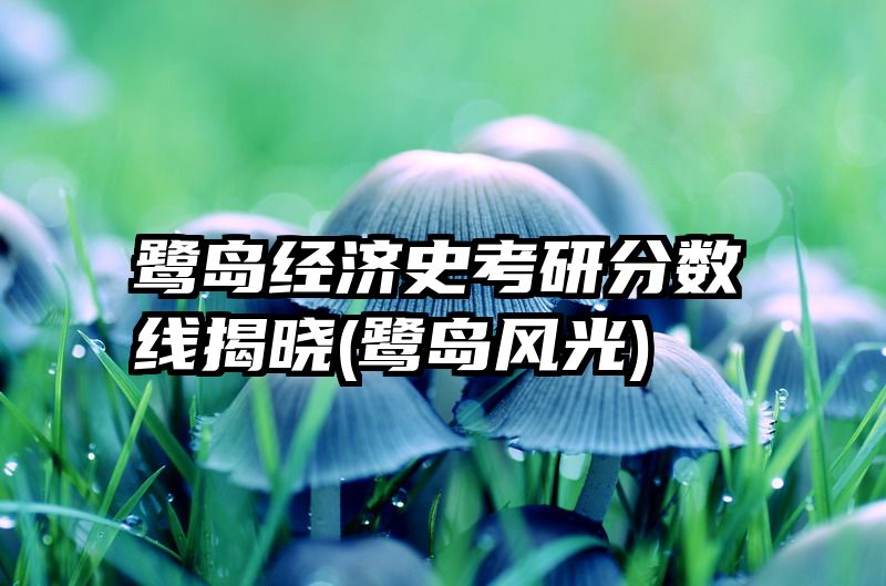 鹭岛经济史考研分数线揭晓(鹭岛风光)