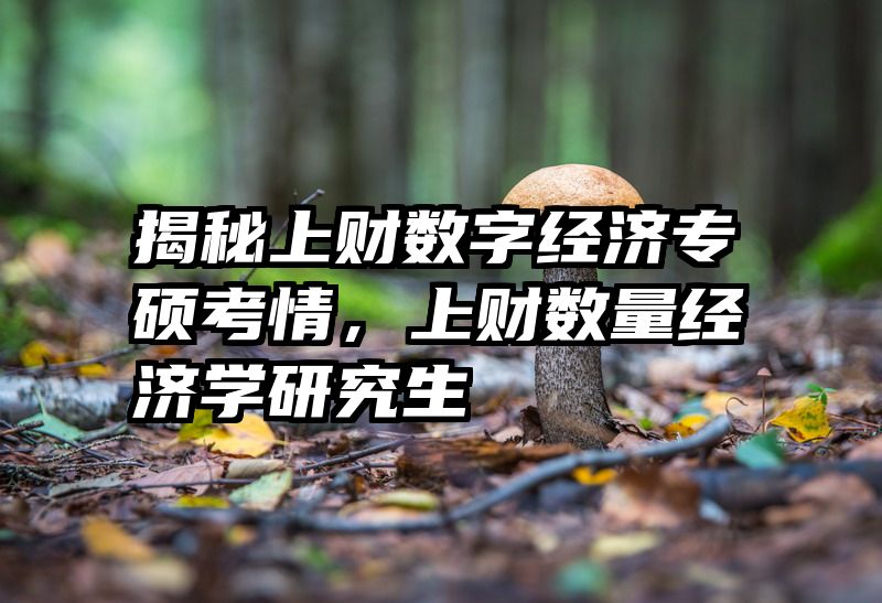 揭秘上财数字经济专硕考情，上财数量经济学研究生