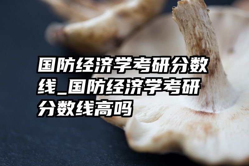 国防经济学考研分数线_国防经济学考研分数线高吗