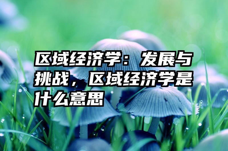 区域经济学：发展与挑战，区域经济学是什么意思