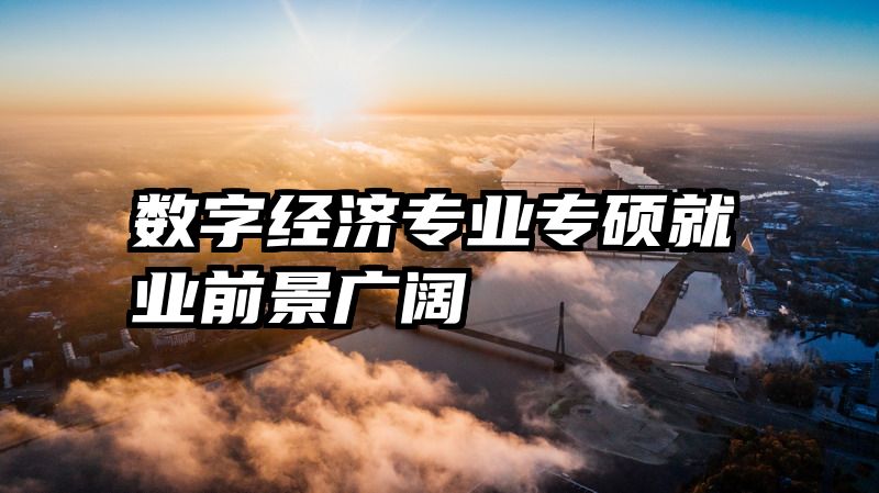 数字经济专业专硕就业前景广阔