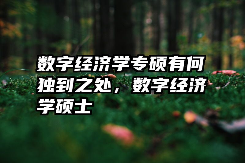 数字经济学专硕有何独到之处，数字经济学硕士