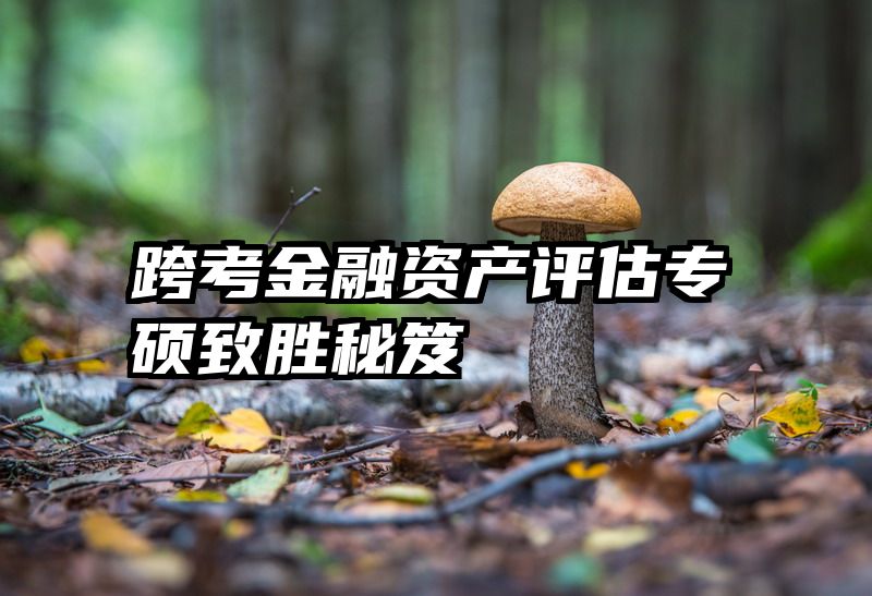 跨考金融资产评估专硕致胜秘笈