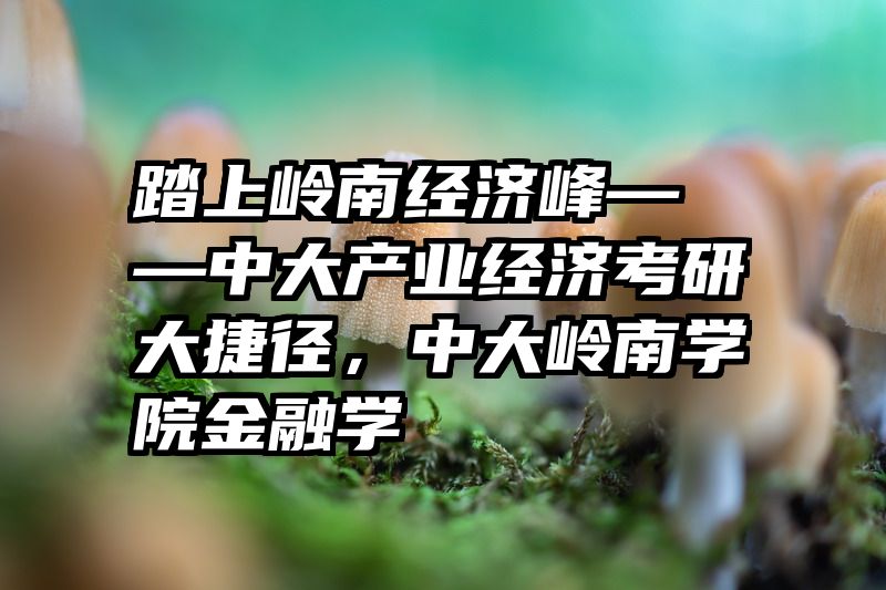 踏上岭南经济峰——中大产业经济考研大捷径，中大岭南学院金融学